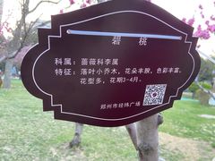 -经纬广场
