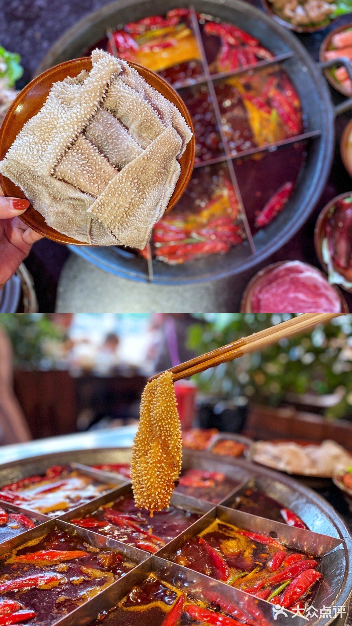 成都美食|堂口•万年场&双桥子必吃火锅🍲