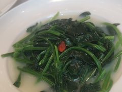 -千灯盛汇·头牌粤菜(致越优城店)