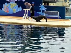 -秦皇岛乐岛海洋王国