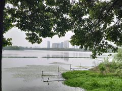 -金银湖国家城市湿地公园