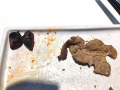 -木槿花開