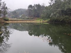 -韶山毛泽东同志故居