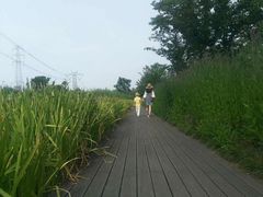 -长田漾湿地公园