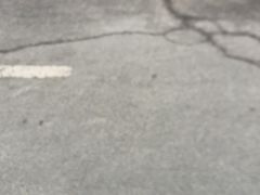 -TESLA 特斯拉(北京南四环中路特斯拉中心)