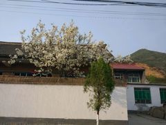 -山西通天峡景区