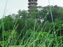 -红花山公园