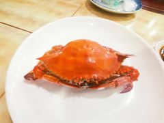 -红灯笼龙凤饭店(宁波老字号店)