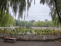 -丰台花园