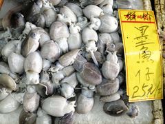 墨鱼仔-鸿达渔港