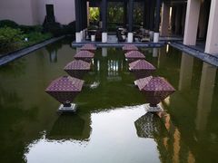 -上海崇明金茂凯悦酒店