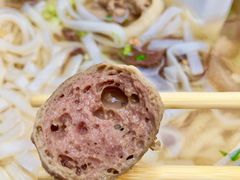 牛丸-菜忠潮州牛肉店(岗厦店)