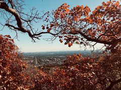 -北京西山国家森林公园