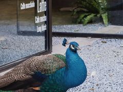 -J Create城市露营咖啡·简餐·宠物(上海动物园店)