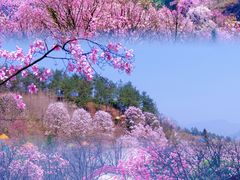 -九皇山景区