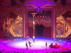 -珠海横琴长隆《卡卡虎奇遇记》