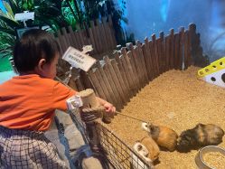 -酷嗒动物文化乐园(cutezoo西溪乐天城店)