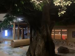 -爱江山温泉(凌奥店)