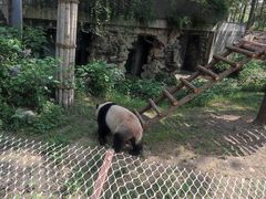 -安吉竹博园