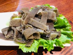 空运毛肚-新招鲜本地鸡窝(平凉路店)