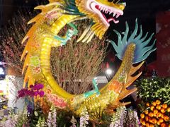 -越秀西湖花市(广州城市广场花卉店)
