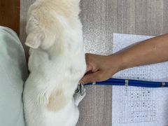 -荔康动物医院(康王北路店)