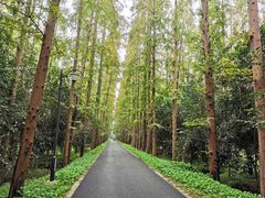 -上海长兴岛郊野公园