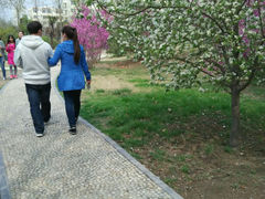 android_upload_pic-河南师范大学(主校区)
