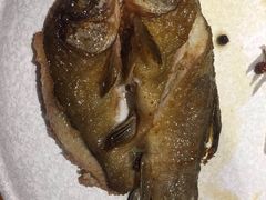 -丹江渔村(望京店)