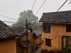 -杨家堂村