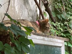 -小雅青年旅舍(平江路店)