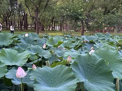 -上海交通大学(闵行校区)