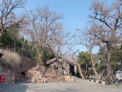 -蓬莱阁景区