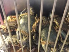 -纽顿熟食中心