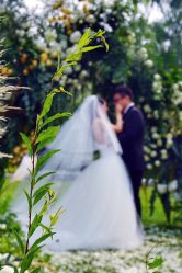 -美薇亭婚礼顾问