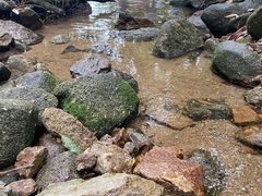 -火炉山森林公园