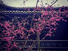 -阳明祠