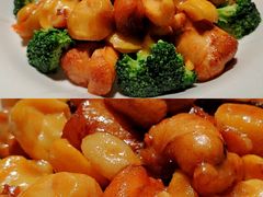 -新悦·霞浦海鲜生(上下杭店)