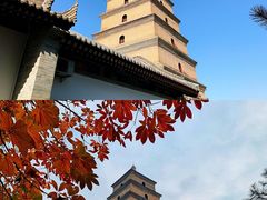 -大雁塔北广场音乐喷泉