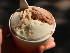 -Dip in Gelato(富民路店)