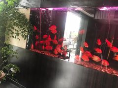 -大唐盲人按摩中心(黄山路店)