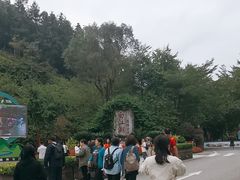 -广州白江湖森林公园