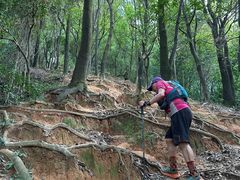 -火炉山森林公园