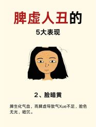 -克丽缇娜