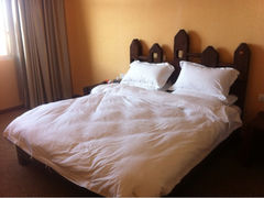 iphone_upload_pic-第三极国际青旅(独克宗古城店)