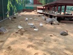 -羊亭河湿地公园