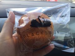 -BLACKSWAN黑天鹅(环球店)