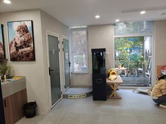 -伟伟宠物医院·CT影像中心·瑞派犬猫综合性门诊(汉口总院)