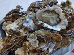 -渔民船说·北塘海鲜·天津菜·海肠捞饭(北塘古镇店)