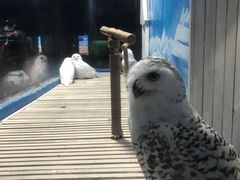 -成都浩海立方海洋公园